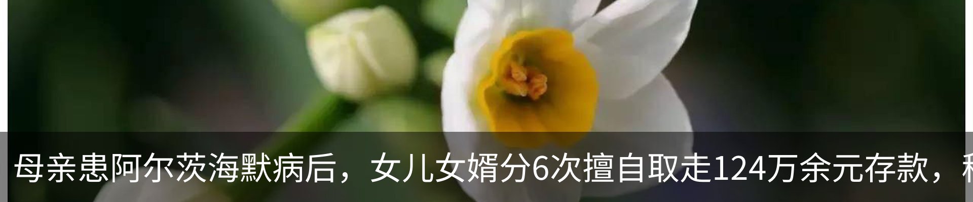 资讯中心